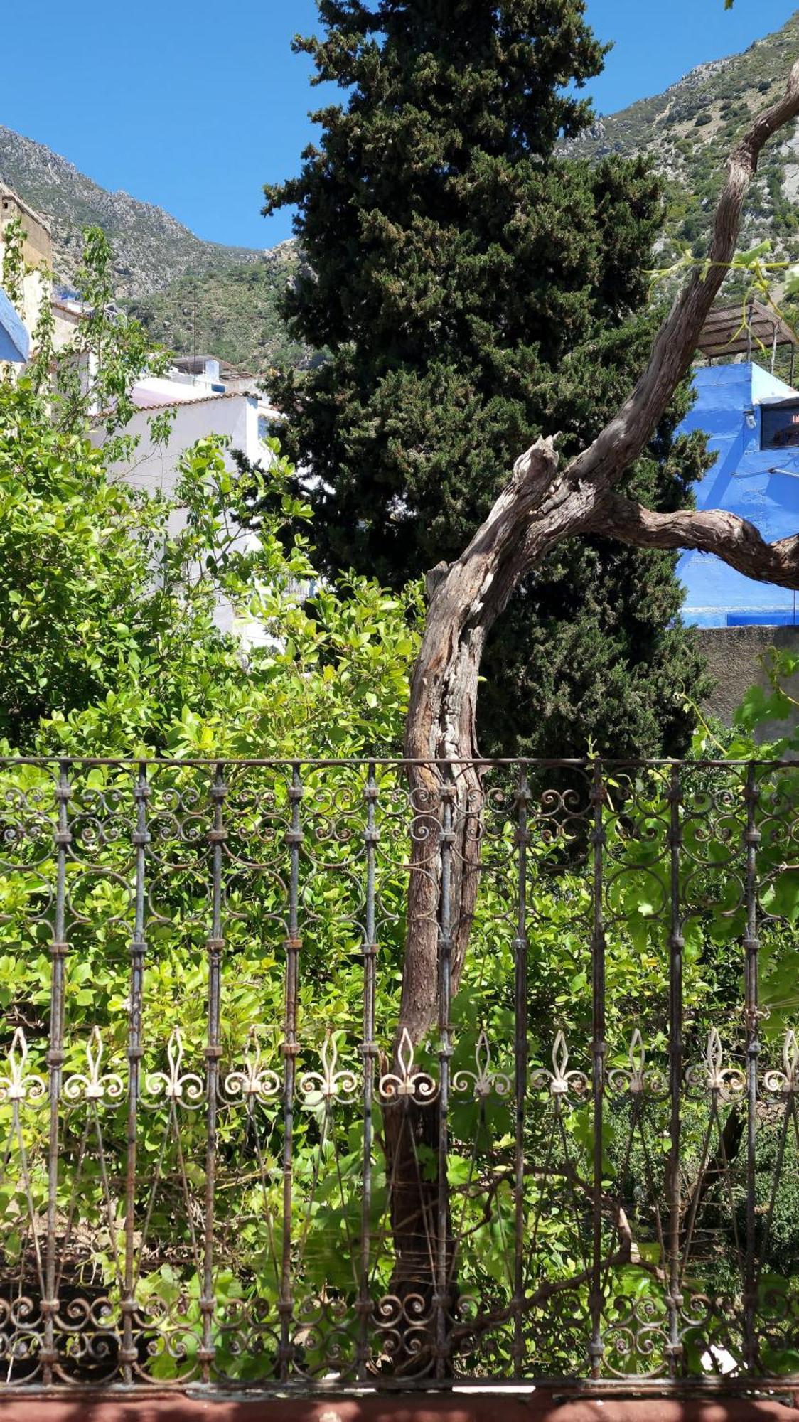 Dar Ennadi Terrace & Tranquility Chefchaouen